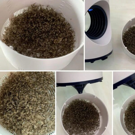 Mosquito Killer Electric Lamp